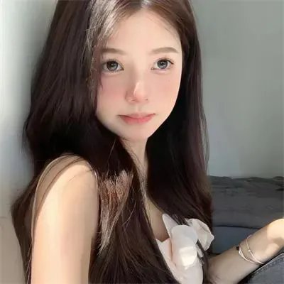 太阳花